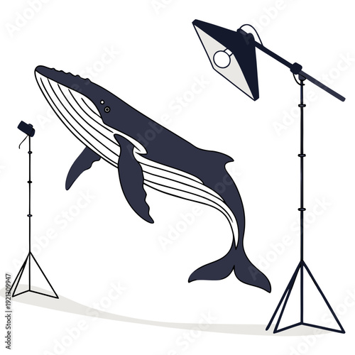 Whale in a Studio Setting with Lighting Equipment.
