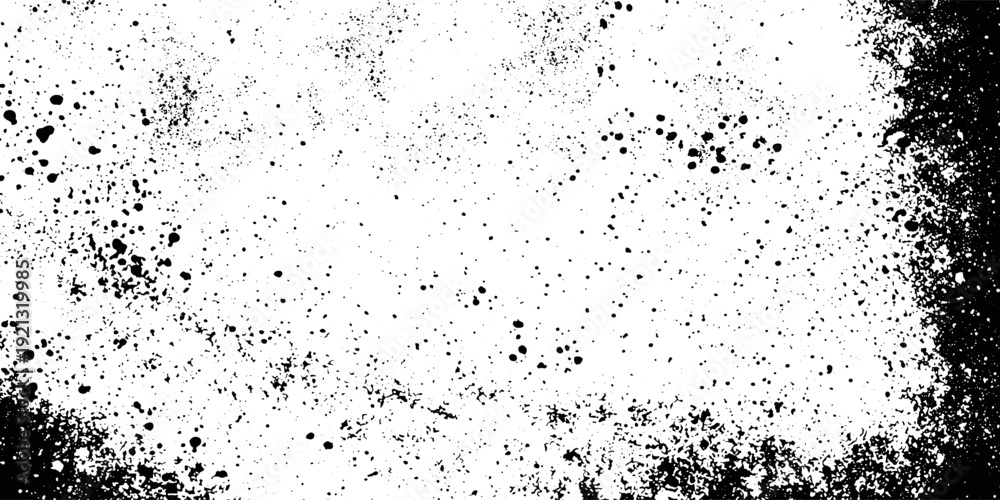 Fototapeta premium Grunge Black Speckle Texture on White Background with Abstract Dust Grain and Distressed Noise Pattern.