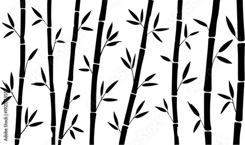 Black Silhouette Bamboo Stalks with Leaves White Background plant