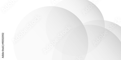 abstract white background with curve crease. Vector background