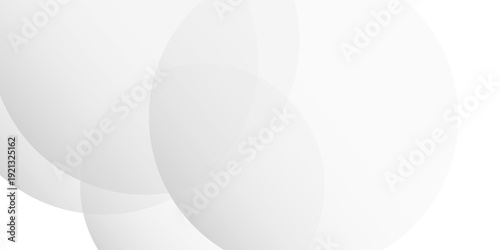 abstract white background with curve crease. Vector background