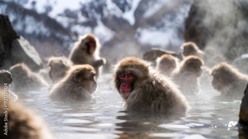 Snow monkeys relaxing in a steamy, natural hot spring with a mountainous backdrop.