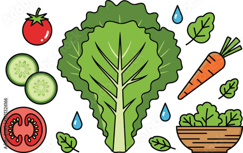 Fresh Vegetables Set with Lettuce Tomato Cucumber and Carrot Flat Vector Illustration Isolated on White Background