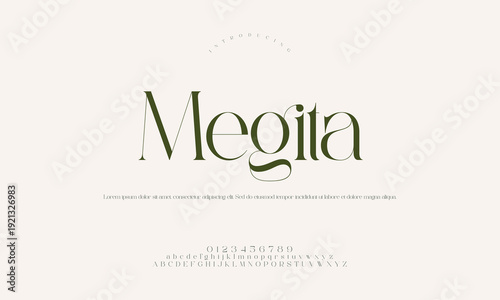 Megita Elegant Stylish Serif Font - Modern Linear Typography for High-End Fashion Branding, Luxury Logos, and Editorial Design