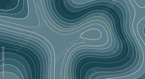 Abstract topographic map lines in shades of blue and grey, representing elevation and contour.