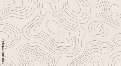 Abstract topographic map lines on a light beige background, representing elevation changes and terrain contours.