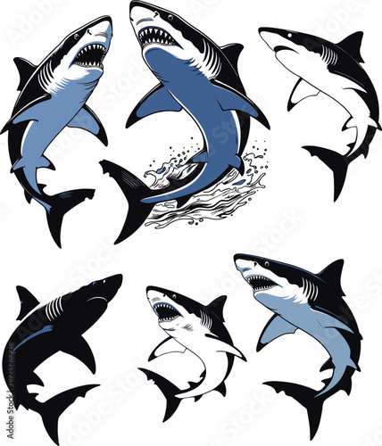 Great white shark vector illustration set featuring aggressive marine predator, blue aquatic animal design, dangerous ocean wildlife graphics, isolated sea creature icons, shark.