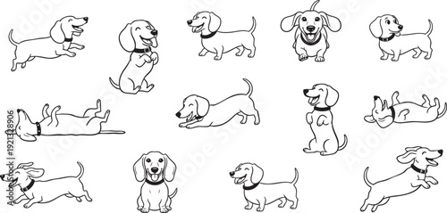 Funny Dachshund Dog Poses Collection, Black Line Art Vector Style Minimalist Canine Illustrations for Coloring Pages, Logo Design, and Pet Graphics