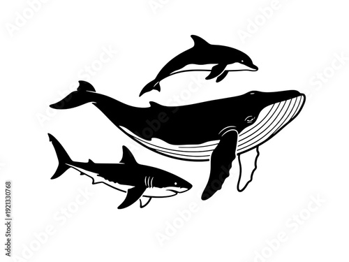 Marine life silhouettes featuring a jumping dolphin, humpback whale, and predatory shark isolated on transparent background 