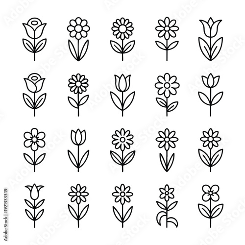 Twenty minimalist line representing various types of flowers including roses and tulips on a white background Keywords: flower