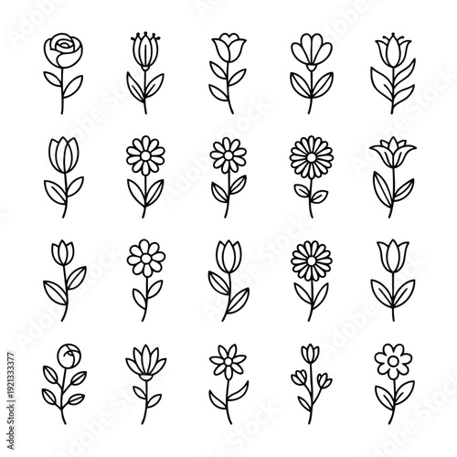 Twenty simple line of various flower types including roses and tulips in black on a white background Keywords: flower, floral