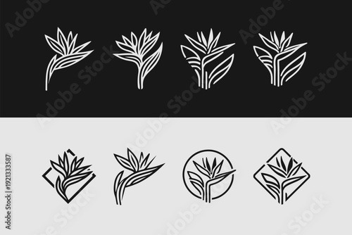 Tropical Strelitzia Flower Logo Set Monochrome Abstract Design Collection