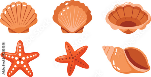 Seashell and starfish collection vector illustration featuring scallop conch and marine ocean elements isolated decorative set
