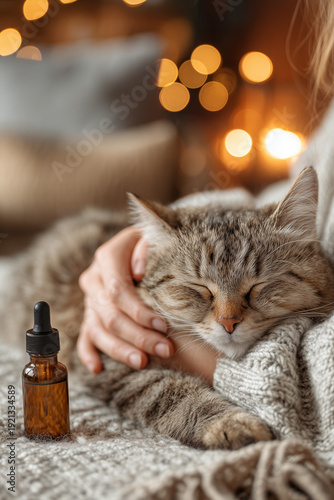 An illustration of an unusually beautiful cat enjoying a relaxing spa treatment. The unusual in our lives and animals.