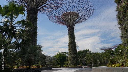 Gardens by the Bay in Singapore Supertrees Scenery
