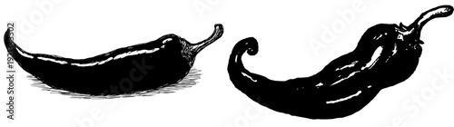 Pepper's Vibrant Adventure: A Peppy Tale of Flavor and Fire