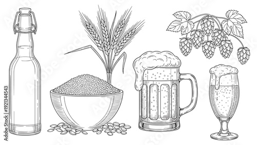 Detailed line art collection of beer brewing ingredients and products, including a bottle, barley, hops, a beer mug, and a glass.
