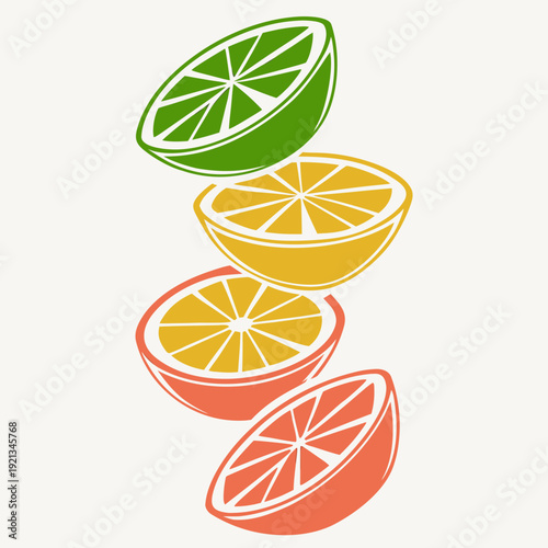 A colorful illustration of citrus fruit slices falling Vector