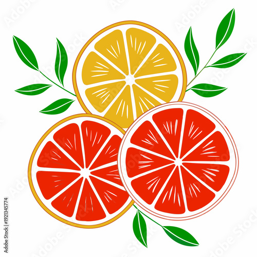 A colorful illustration of citrus fruits and leaves Vector