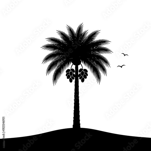 Black palm tree silhouette with birds