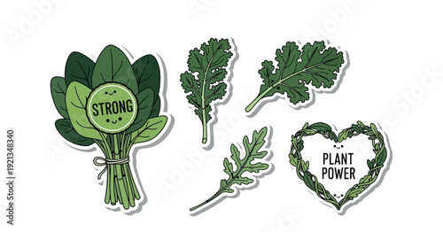 Hand-drawn doodle sticker set with spinach bunch and kale leaves; colorful plant power and strong nutrition icons for vegan lifestyle marketing and wellness design on white background.