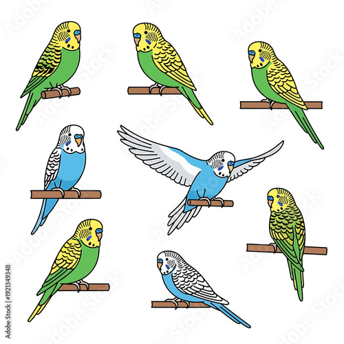 "Colorful Budgerigar Parakeet Collection – Cute Pet Birds on Branches, Hand Drawn Budgie Vector Set"

