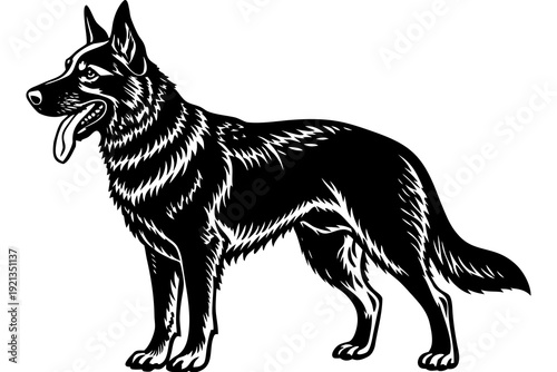 “German Shepherd Dog Illustration  Detailed Black and White Canine Vector Art”