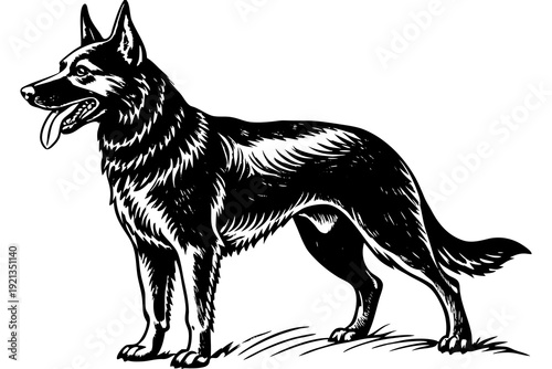 “German Shepherd Dog Illustration  Detailed Black and White Canine Vector Art”