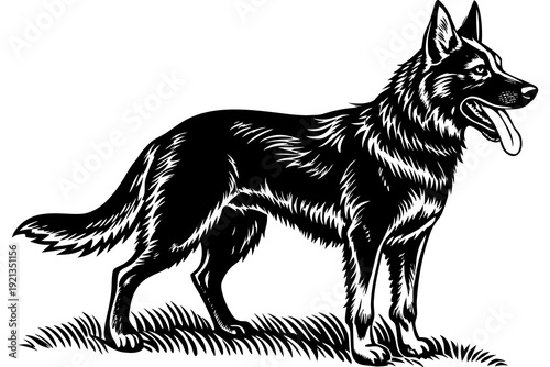 “German Shepherd Dog Illustration  Detailed Black and White Canine Vector Art”