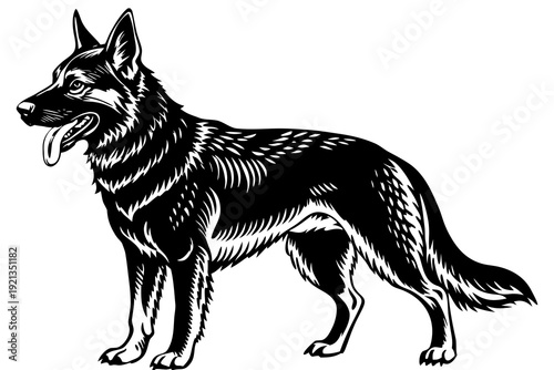 “German Shepherd Dog Illustration  Detailed Black and White Canine Vector Art”