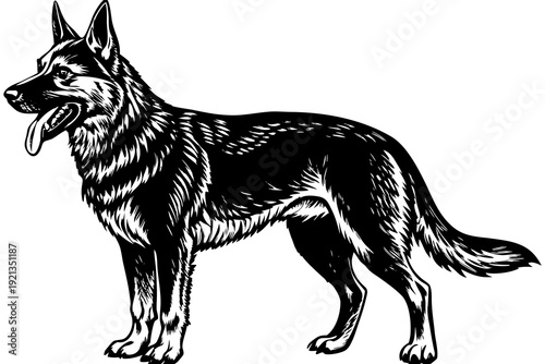 “German Shepherd Dog Illustration  Detailed Black and White Canine Vector Art”