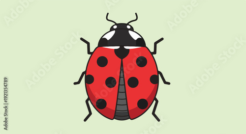 Detailed red ladybug illustration with black spots and white accents on a pale green background showcasing vibrant colors and simple design