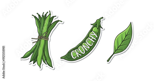 Hand-drawn doodle green bean and pea pod sticker set with "Cronchy" text; colorful organic vegetable icons and healthy snack nutrition concept on white background.