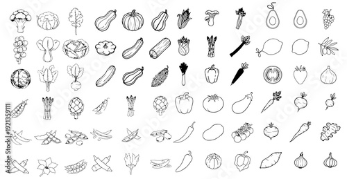 Fresh vegetable icons set, hand drawn style black and white doodles