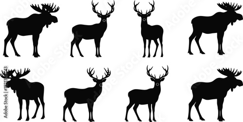 Moose deer silhouettes antlers wildlife animal comparison illustration design flat vector