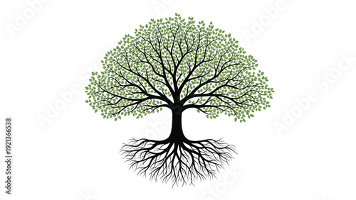 Tree of life illustration with green leaves and deep roots for nature conservation genealogy and environmental themes.