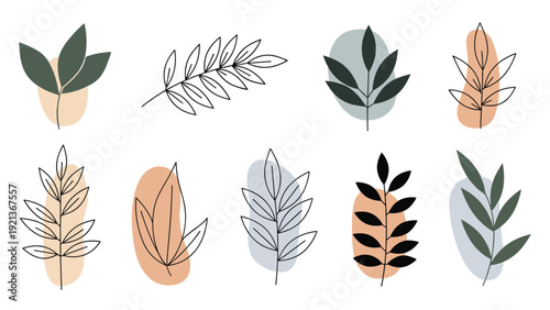 Set of hand drawn botanical leaves with abstract color shapes for modern wall art and wedding stationery designs.