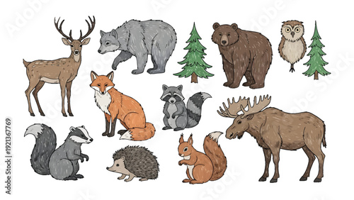 Forest animal illustration: A charming illustration featuring diverse forest animals, showcasing the beauty and variety of woodland creatures in their natural habitat.