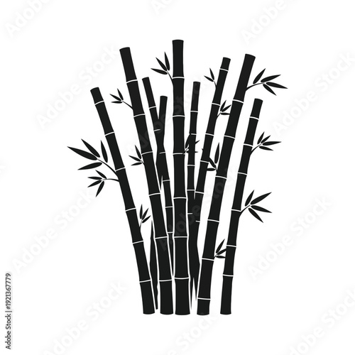Elegant black bamboo stalks with leaves on white background
