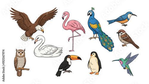 Exotic Bird Collection: A stunning compilation showcases a range of exotic birds, each possessing unique plumage, shapes, and forms, capturing their distinctive features and colors.