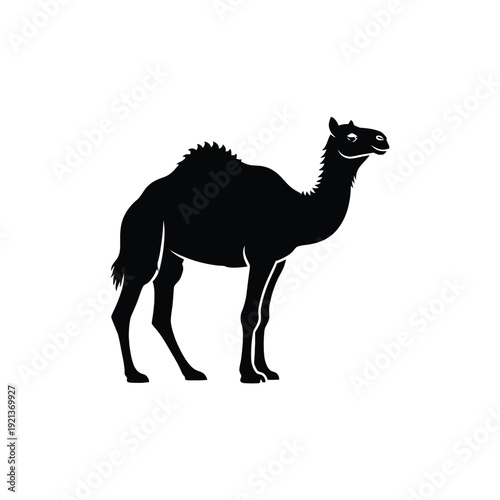 Majestic camel standing in profile view with elegant posture