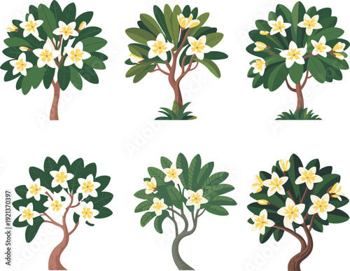 Plumeria frangipani tree illustrations with white tropical flowers and lush green leaves, decorative botanical vector set isolated on white