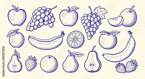 Hand-drawn Sketch of Assorted Fruits in a Charming Vector Illustration Style