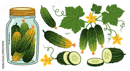 Fresh Cucumbers in Jar and on Vine with Flowers and Slices