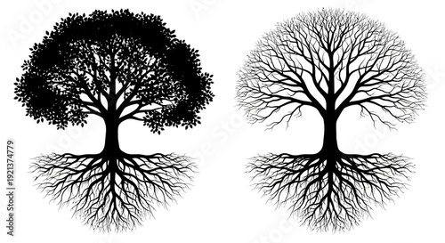 Symbolic Contrast of a Lush Tree and a Bare Tree with Extensive Root Systems