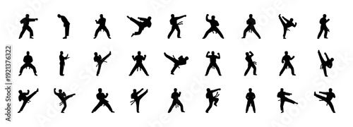 Set of martial arts silhouettes, karate and taekwondo fighters in various kicking and punching poses, combat sports action vector.