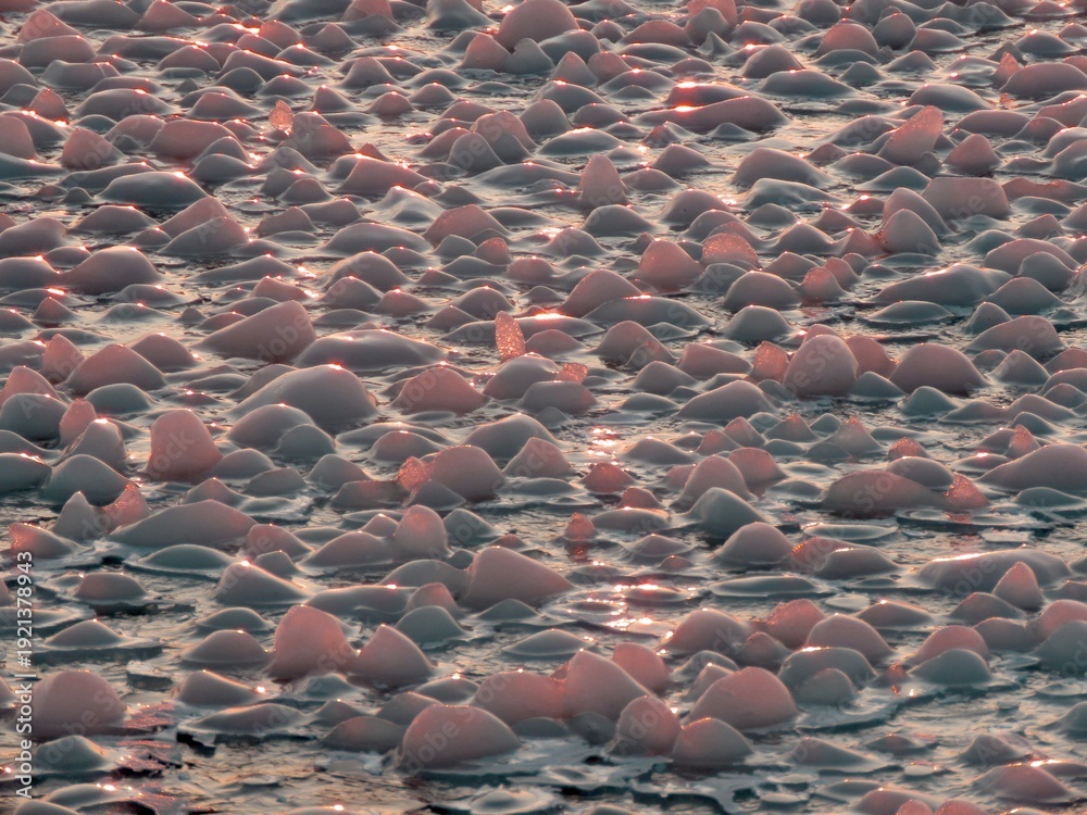 Obraz premium Various ice forms, like ice cracks, slush balls, pancake ice sheets formed at lake Balaton during the freezing cold January of 2026.