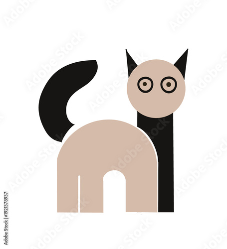 black cat with white background