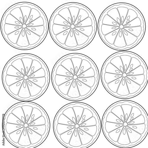 lemon slice isolated on white background, Freshness Orange Slice Frame, Fresh Orange Slice Illustration, orange vektor illustration, lime dan lemon vektor illustration.