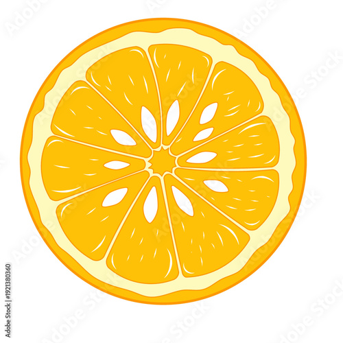lemon slice isolated on white background, Freshness Orange Slice Frame, Fresh Orange Slice Illustration, orange vektor illustration, lime dan lemon vektor illustration.